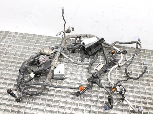 wiring-harness-opel-antara-a-l07-2006-2007-2008-2009-2010-2011-2012-2013-2014-2015-2016-2017-39784165 main image