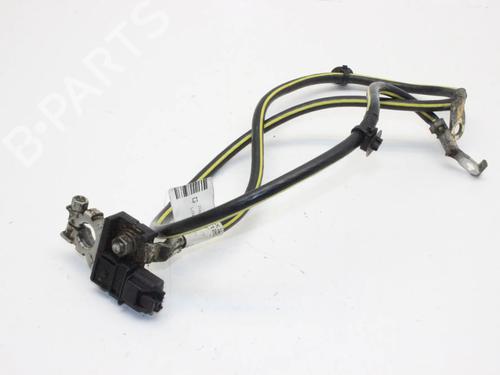 Used Cable Cable NISSAN LEAF (ZE0) Electric (109 hp) 39879774 39879774