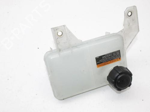 Vaso de expansão Vaso de expansão NISSAN LEAF (ZE0) Electric (109 hp) 39878371 39878371