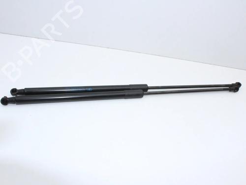 tailgate-lift-support-peugeot-rcz-2010-2011-2012-2013-2014-2015-39791554 main image