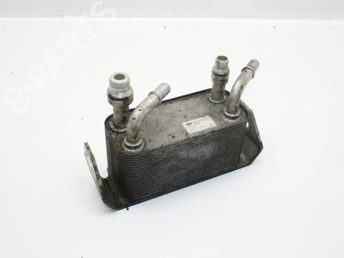 Used Oil radiator Oil radiator LAND ROVER RANGE ROVER SPORT I (L320) 3.0 D 4x4 (245 hp) 39858387 39858387
