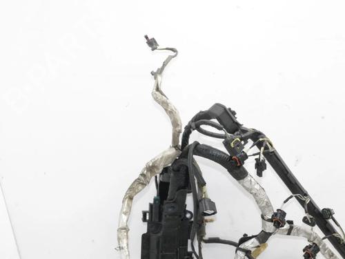 Wiring harness JAGUAR XJ (X351) 5.0 SCV8 | BP39861548E16 - Image 2
