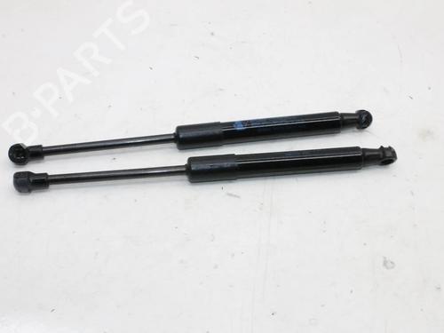 hood-lift-support-peugeot-rcz-2010-2011-2012-2013-2014-2015-39782059 main image