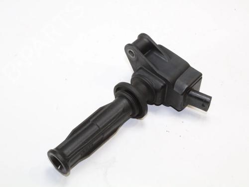 Bobine Bobine FORD S-MAX (WA6) 2.0 EcoBoost (203 hp) 39848745 39848745