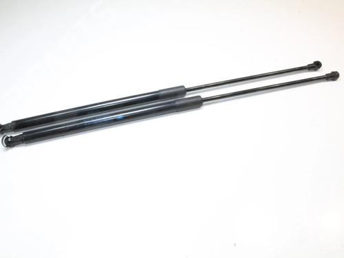 tailgate-lift-support-peugeot-rcz-2010-2011-2012-2013-2014-2015-39807916 main image