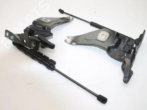 Used Hinge/Door check strap Hinge/Door check strap BMW X5 (E70) 3.0 d (235 hp) 39843176 39843176
