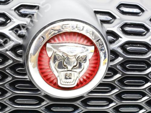 Grill JAGUAR I-PACE (X590) EV400 AWD | BP39811986C40  - Image 6