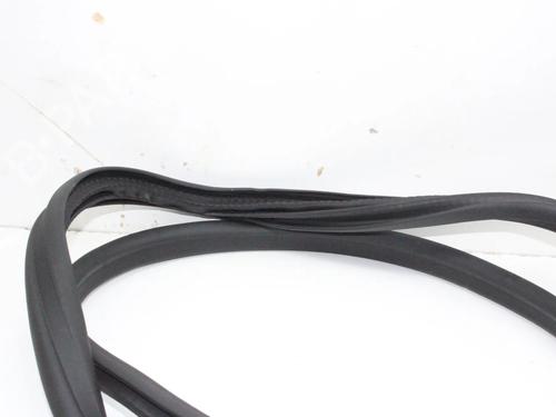 Gummiliste BMW i4 (G26) eDrive40 | BP39774047C142 - Image 4