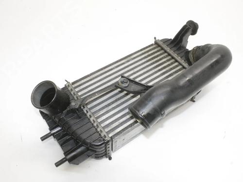 Intercooler Intercooler NISSAN JUKE (F15) 1.6 DIG-T NISMO RS (218 hp) 39818001 39818001