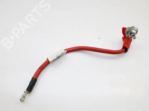 Used Cable Cable JAGUAR XF I (X250) 2.2 D (163 hp) 39846383 39846383