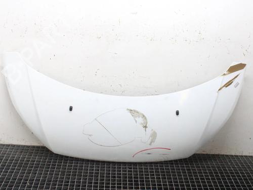 Used Hood Hood FORD TRANSIT CUSTOM V362 Van (FY, FZ) 2.2 TDCi (100 hp) 39846525 39846525