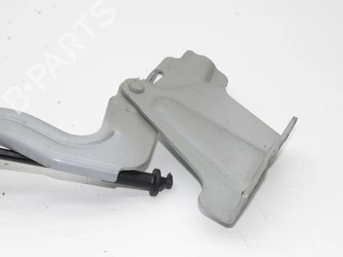 Hinge/Door check strap NISSAN NOTE (E12) 1.2 DIG-S | BP39837768C146 - Image 3