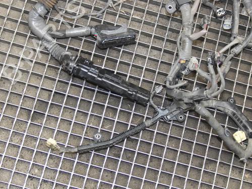 Wiring harness LEXUS IS III (_E3_) 300h (AVE30_, AVE30R) | BP39823665E16 - Image 3