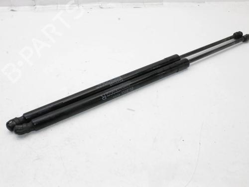Used Tailgate lift support Tailgate lift support HONDA CR-V III (RE_) 2.2 i-DTEC 4WD (RE6) (150 hp) 39874441 39874441
