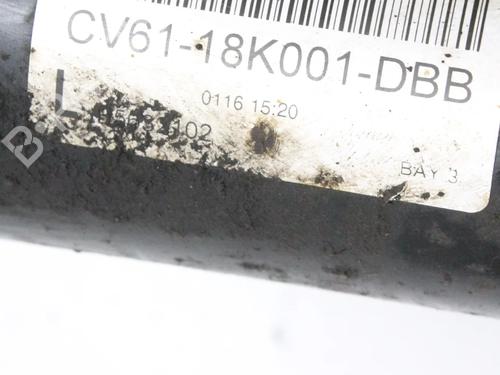 Left front shock absorber FORD KUGA II (DM2) 1.5 EcoBoost 4x4 | BP39838773M16 - Image 6