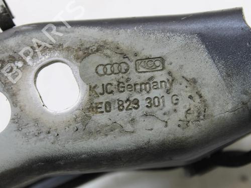 Hinge/Door check strap AUDI A8 D3 (4E2, 4E8) 3.0 TDI quattro | BP39813810C146 - Image 5