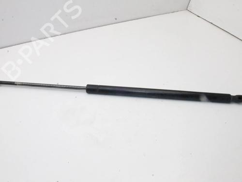 Used Tailgate lift support Tailgate lift support LAND ROVER RANGE ROVER SPORT I (L320) 3.0 D 4x4 (245 hp) 39879137 39879137
