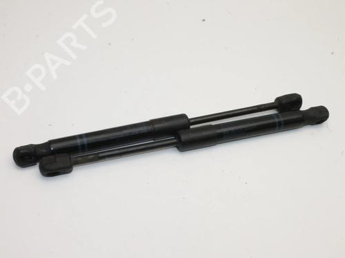 hood-lift-support-bmw-1-f21-2011-2012-2013-2014-2015-2016-2017-2018-2019-39798087 main image