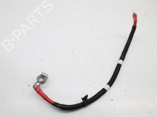 Used Cable Cable FORD TRANSIT CUSTOM V362 Van (FY, FZ) 2.2 TDCi (125 hp) 39812068 39812068