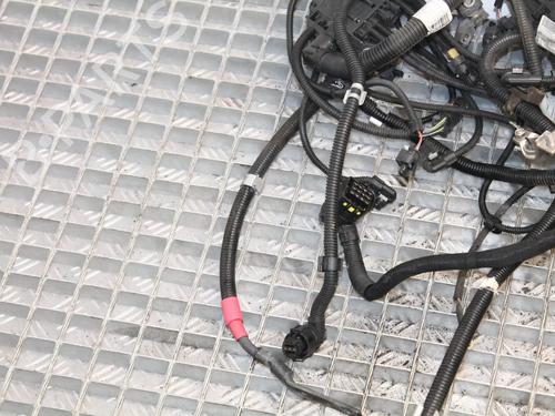 Wiring harness MINI MINI (F55) Cooper | BP39815334E16 - Image 3