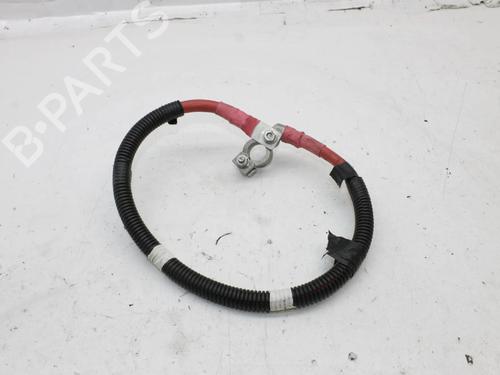 Used Cable Cable FORD TRANSIT CUSTOM V362 Van (FY, FZ) 2.0 EcoBlue (170 hp) 39861118 39861118