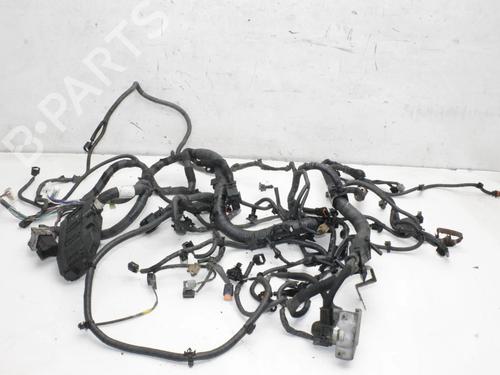 Ledningsnet Ledningsnet NISSAN QASHQAI II (J11, J11_) 1.6 dCi ALL MODE 4x4-i (130 hp) 39813114 39813114