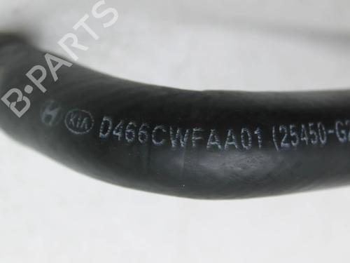 Pipe KIA NIRO I (DE) 1.6 GDI Plug-in Hybrid | BP39850159M125 - Image 2