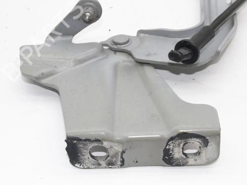 Hinge/Door check strap NISSAN NOTE (E12) 1.2 DIG-S | BP39837768C146 - Image 6
