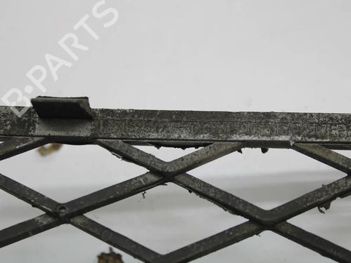 Grill BMW X6 (E71, E72) xDrive 30 d | BP39807983C40 - Image 6