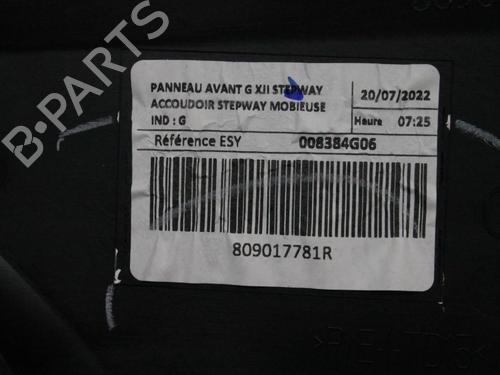 Venstre frontpanel DACIA SANDERO III 1.0 TCe 110 | BP39814461C58 - Image 4