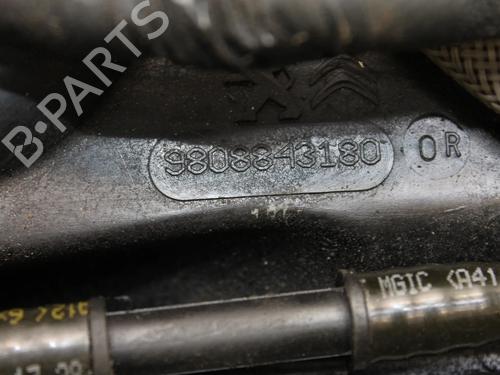 Engine FORD KUGA II (DM2) 2.0 TDCi 4x4 | BP39875212M1 - Image 8