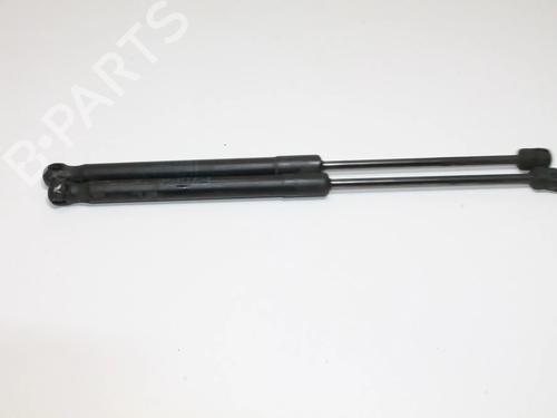 hood-lift-support-bmw-x5-e70-2006-2007-2008-2009-2010-2011-2012-2013-39815661 main image