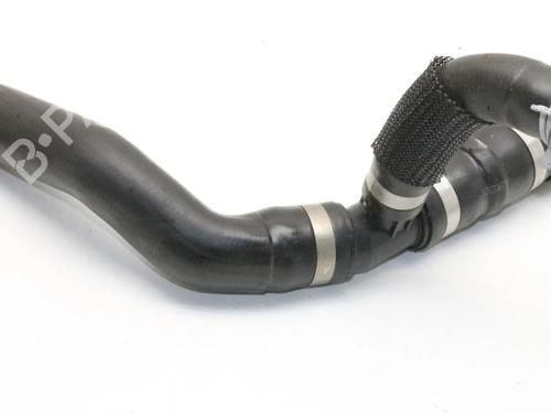 Pipe FORD KUGA III (DFK) 2.5 FHEV | BP39776329M125 - Image 3