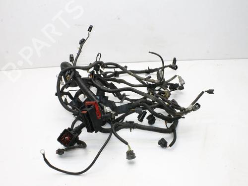 Ledningsnet Ledningsnet JAGUAR XK II Coupe (X150) 4.2 XK8 (298 hp) 39774012 39774012