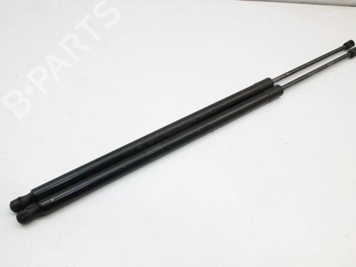 tailgate-lift-support-ford-kuga-ii-dm2-2012-39775041 main image