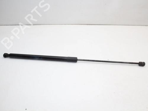 Used Tailgate lift support Tailgate lift support FORD KUGA I 2.0 TDCi 4x4 (163 hp) 39834346 39834346