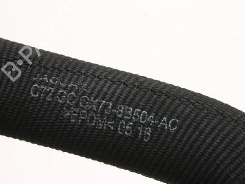 Pipe JAGUAR XE (X760) 2.0 D | BP39790319M125 - Image 4
