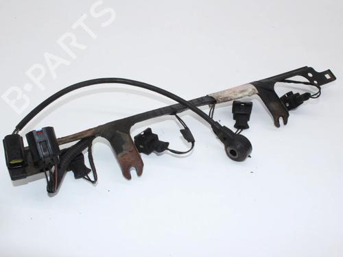 Used Wiring harness Wiring harness JAGUAR XJ (X308) 4.0 (375 hp) 39852022 39852022