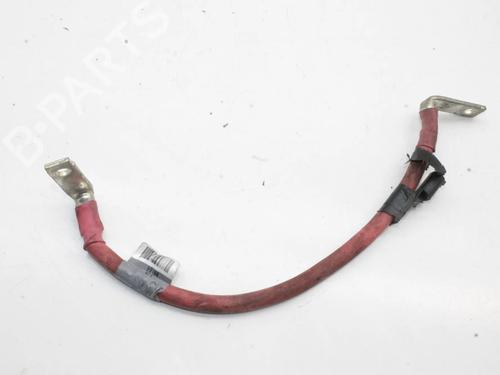 Used Cable Cable LAND ROVER RANGE ROVER SPORT I (L320) 3.0 D 4x4 (245 hp) 39866524 39866524