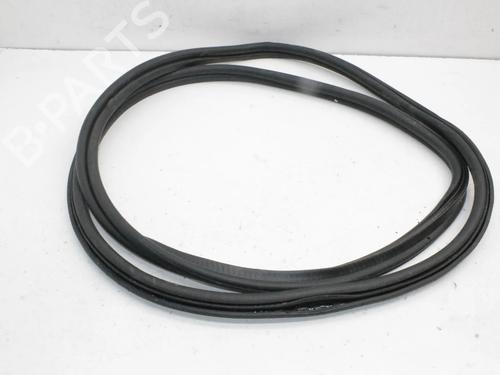 Gummilist Gummilist BMW 5 (G30, F90) 530 e Plug-in Hybrid (252 hp) 39874568 39874568