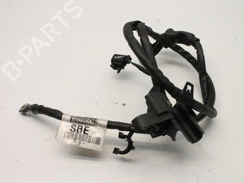 Ledningsnet Ledningsnet FORD FOCUS III 2.0 ST (250 hp) 39813438 39813438