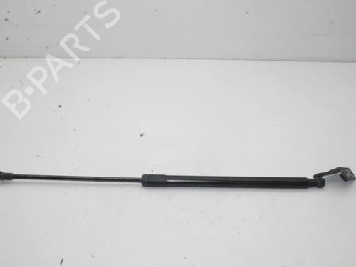 Amortecedor da mala Amortecedor da mala NISSAN QASHQAI I (J10, NJ10) 2.0 (141 hp) 39810232 39810232