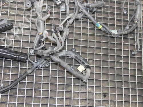 Wiring harness LEXUS IS III (_E3_) 300h (AVE30_, AVE30R) | BP39823665E16 - Image 4