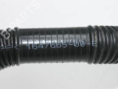 Pipe TESLA MODEL Y (5YJY) EV Performance All-wheel Drive | BP39803570M125  - Image 5