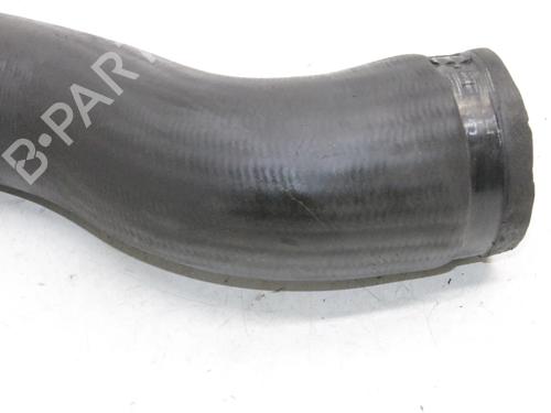 Intercooler pipe NISSAN PATHFINDER III (R51) 2.5 dCi 4WD | BP39879846M127 - Image 4
