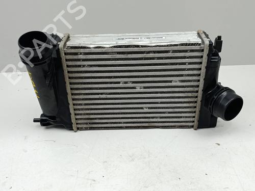 Intercooler Intercooler RENAULT SCÉNIC III (JZ0/1_) 1.5 dCi (JZ02, JZ0R) (95 hp) 36978128 36978128