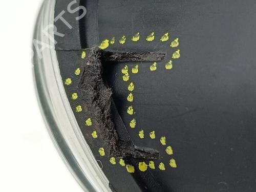 Right front fog light VW PASSAT B5.5 (3B3) | BP36978546C31 - Image 7