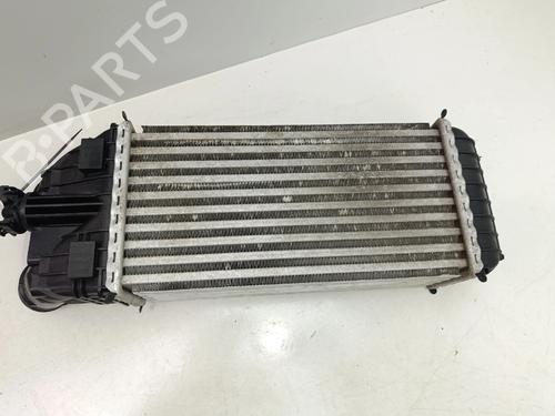 Intercooler CITROËN DS3 (SA_) | BP36979737M30 - Image 6