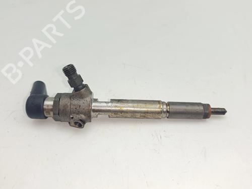 Spreder / Dyse Spreder / Dyse RENAULT MEGANE II (BM0/1_, CM0/1_) 1.5 dCi (BM02, BM13, BM2A, CM02, CM13) (101 hp) 36981284 36981284