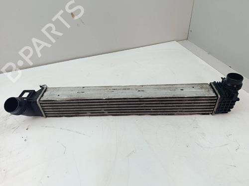 Intercooler Intercooler RENAULT MEGANE III Hatchback (BZ0/1_, B3_) [2008-2026] 36981359 36981359